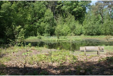 Vakantiepark 't Eeser Heideveld (De Pol)