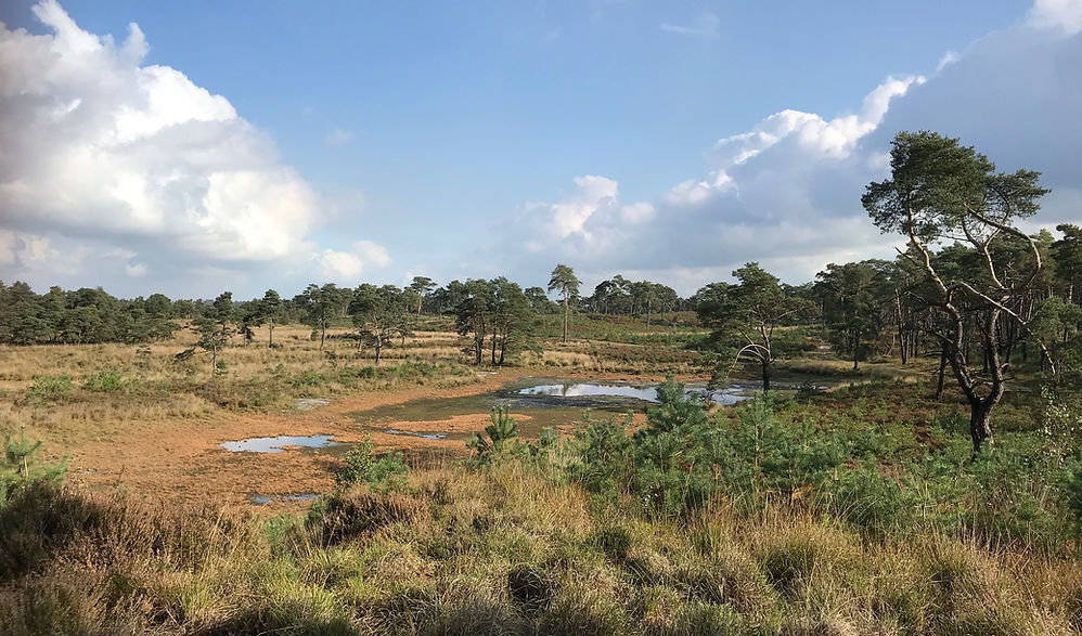 Recreatiecentrum Hazeduinen (Putte)