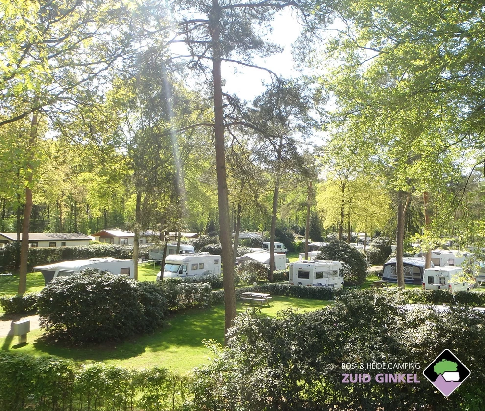 Camping Zuid Ginkel (Ede)