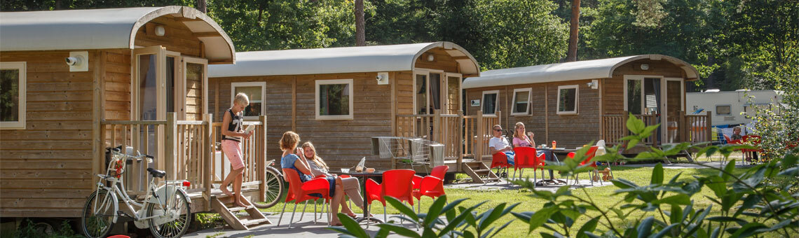 Molecatenpark de Leemkule (Hattem)