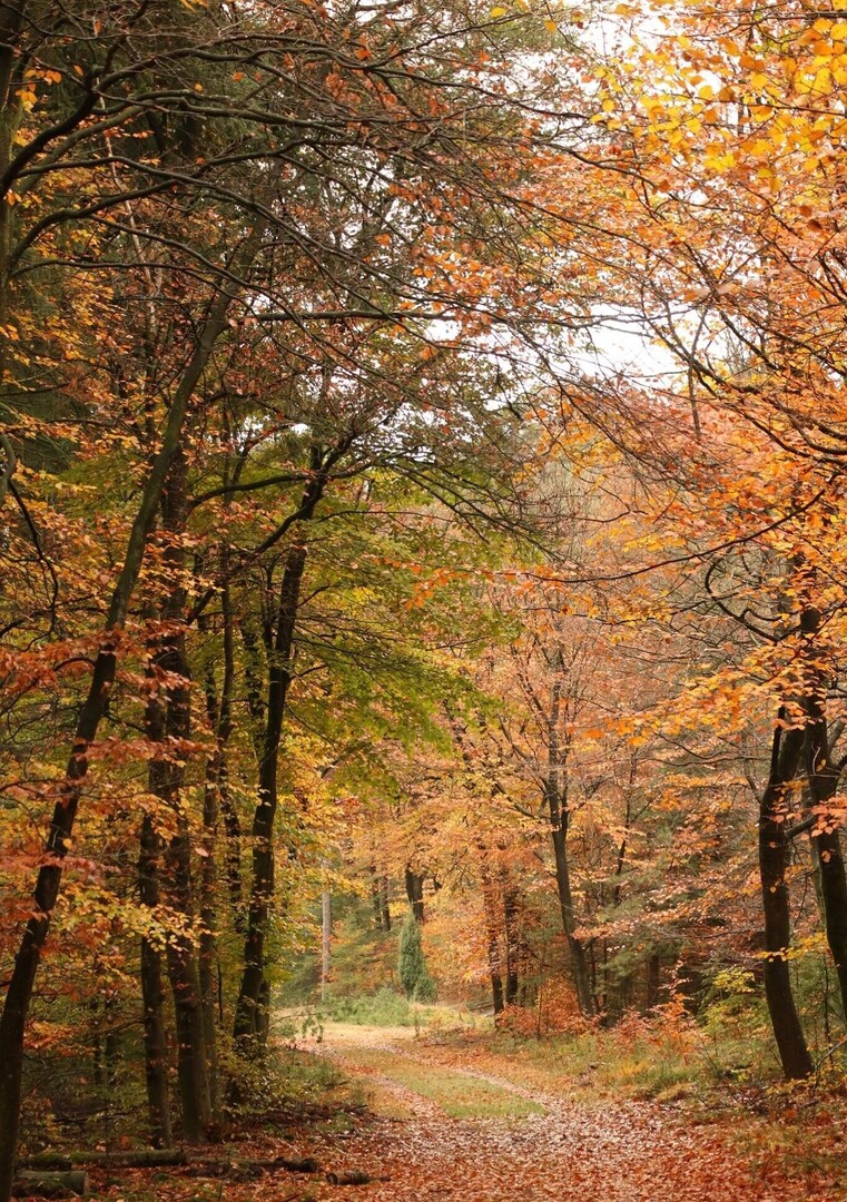 Vakantieoord Het Caitwickerzand