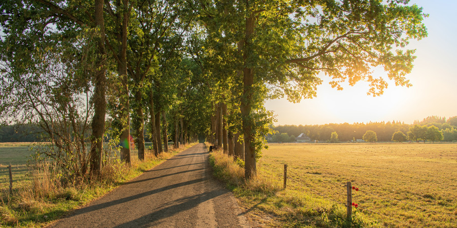 RCN de Roggeberg (Appelscha)