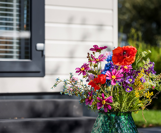 Altijd als eerste op de hoogte van ons nieuwste aanbod