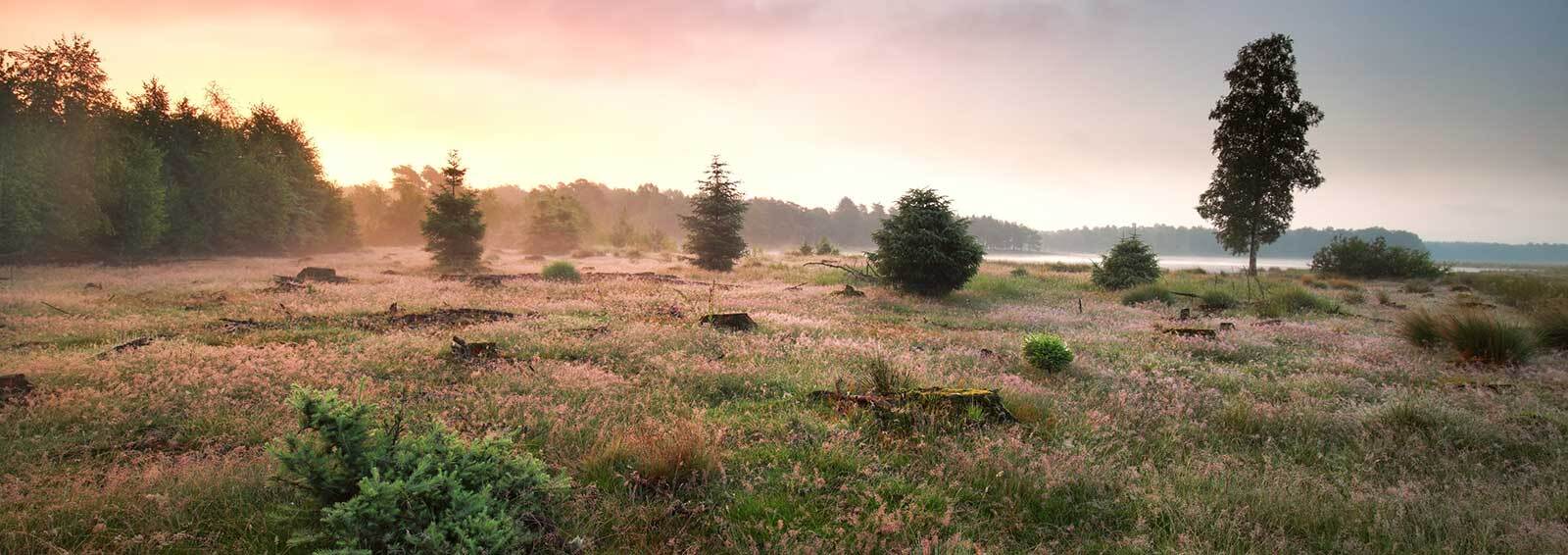 Campingplatz 'Mooi Oavelt' (Havelte)
