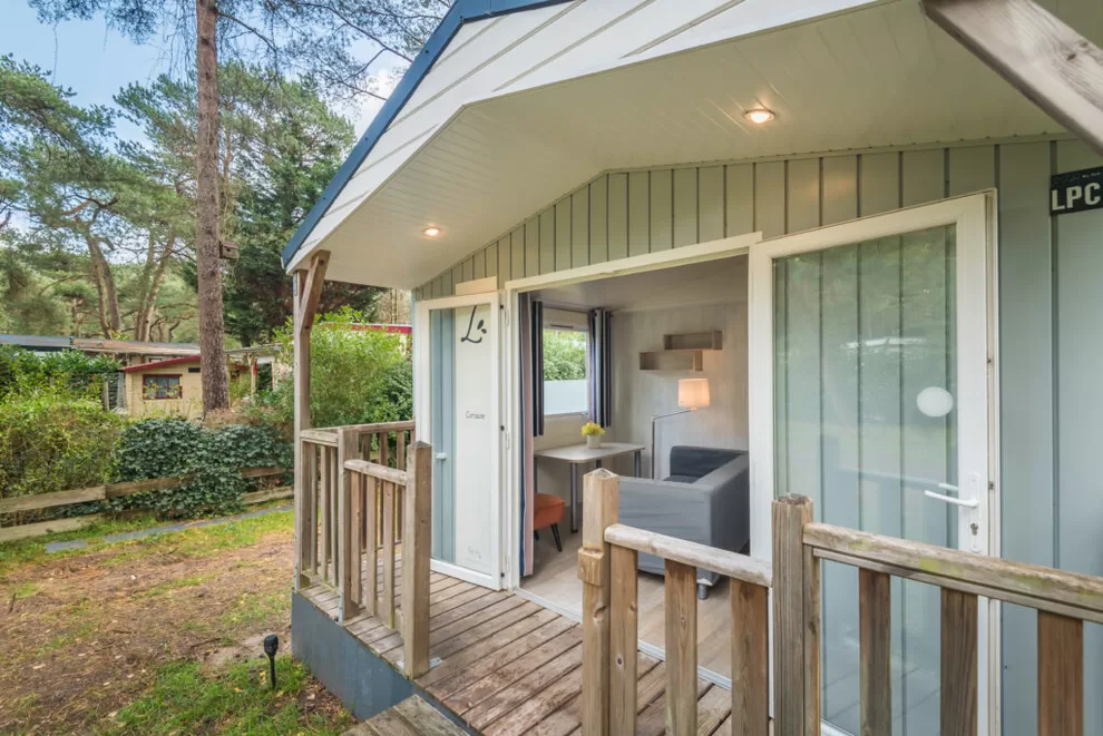 Bos park Bilthoven (Bilthoven)