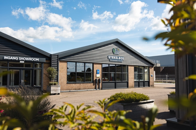 Elektrisch laden auto