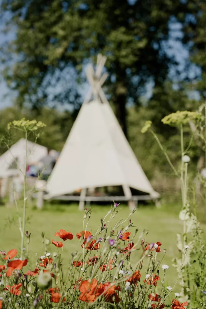 Camping de Blauwe Haan (Uffelte)