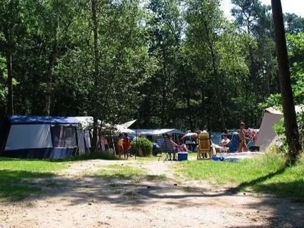 Camping de Bonte Vlucht 