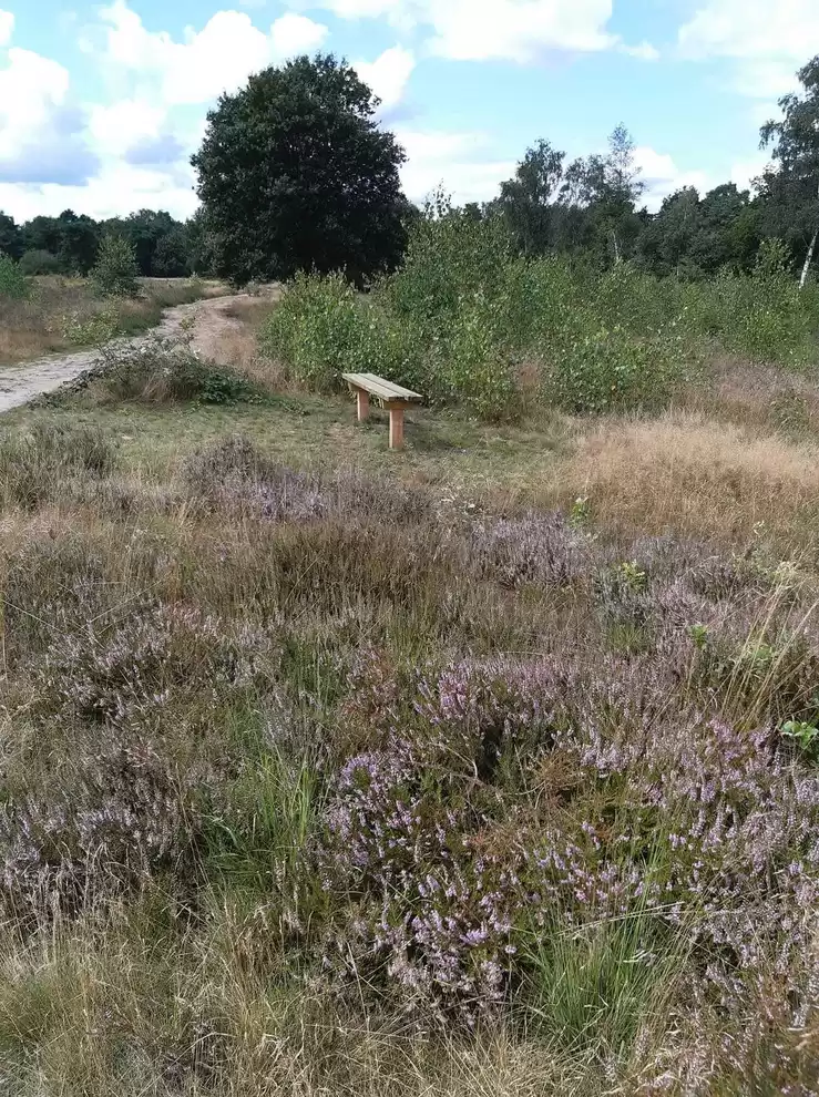 Recreatiepark De Bosrand