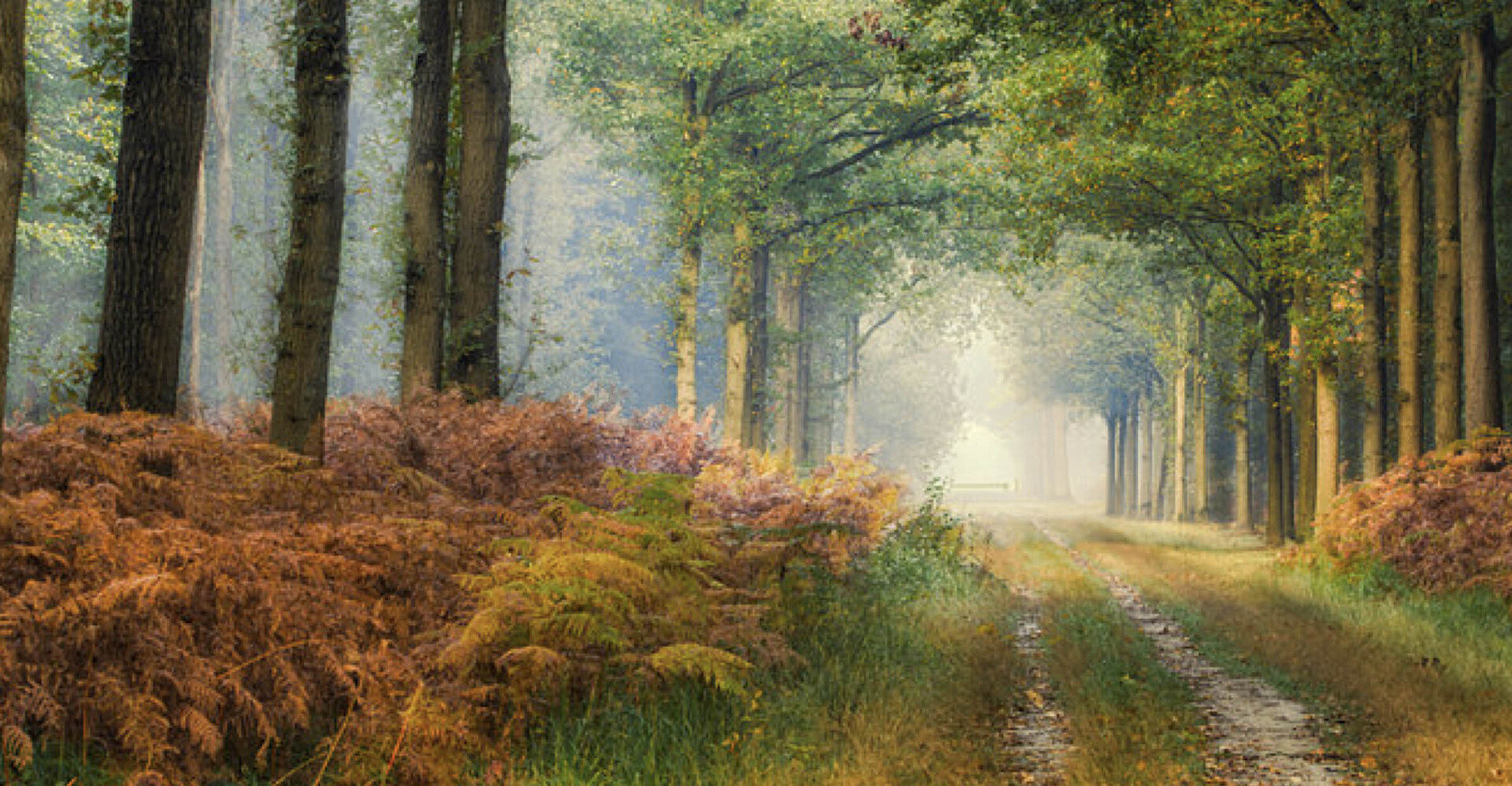 Camping Liesbos (Breda)