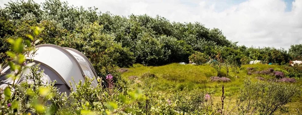 Camping Roosdunen (Ameland)