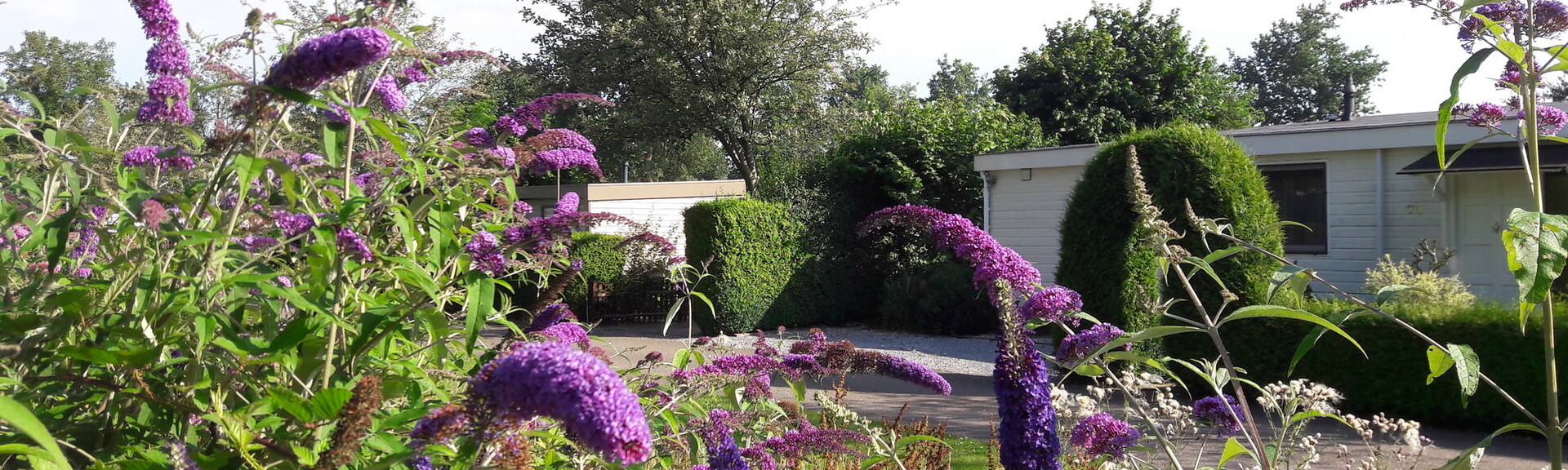 Park Duivenbos (Overloon)