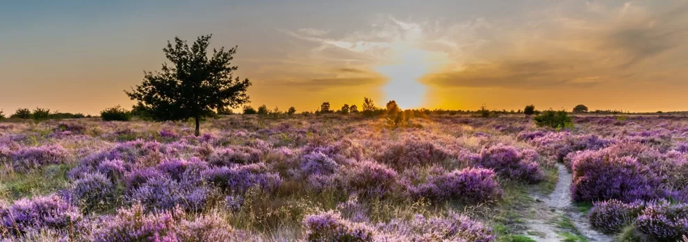 Buitenplaats Putterheijde (Putten)