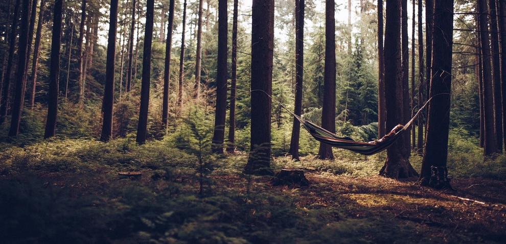 Camping 'In de Rimboe'