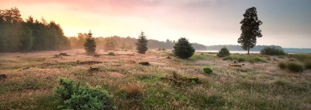 Camping 'Mooi Oavelt' (Havelte)