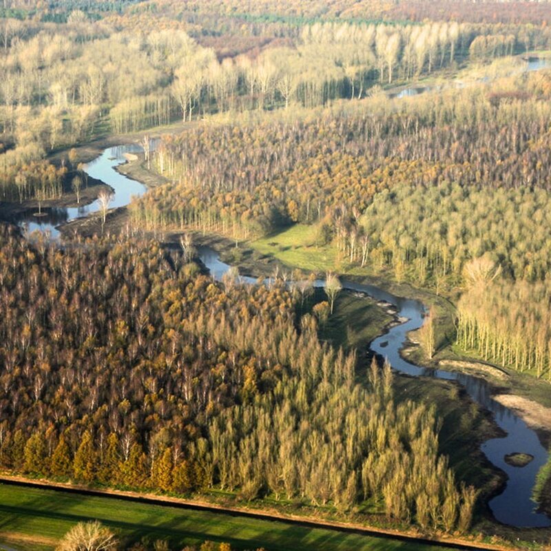 Stekelbos stacaravans en chalets