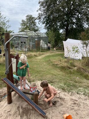 Camping de Blauwe Haan (Uffelte)