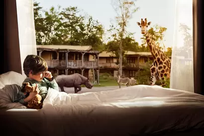 Camping Beekse Bergen (Hilvarenbeek)