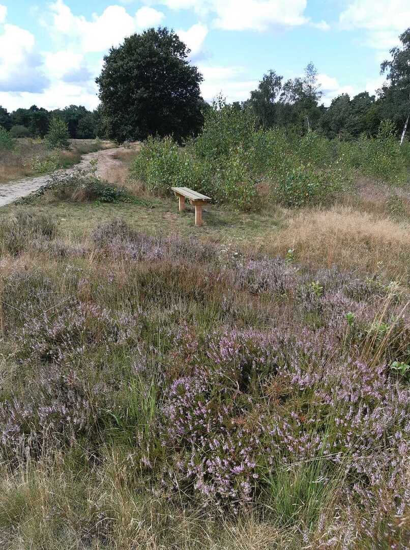 Recreatiepark De Bosrand