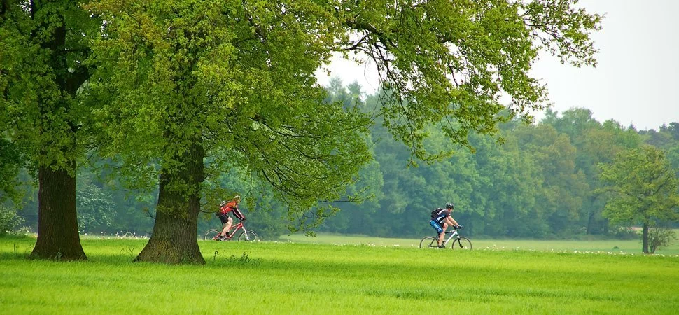 Camping de Slangenbult