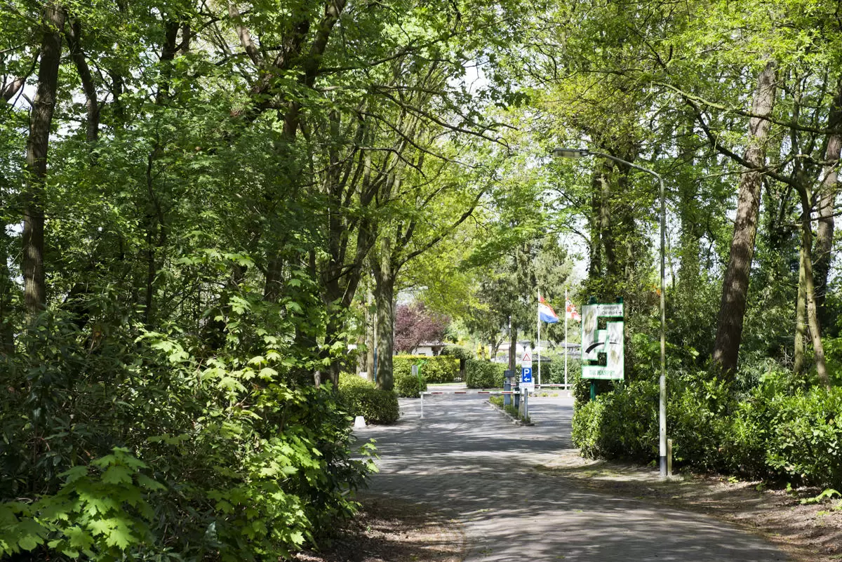 Wohnwagen - Chalet Park de Haspel