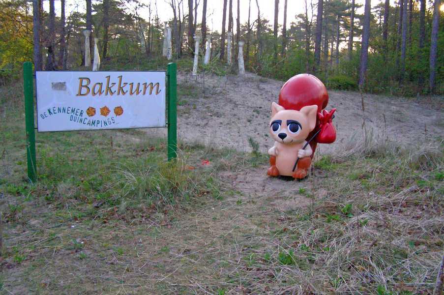 Camping Bakkum (Bakkum)