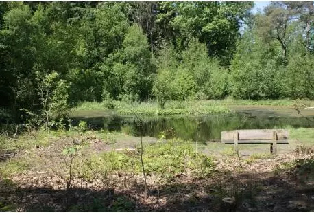 Vakantiepark 't Eeser Heideveld (De Pol)