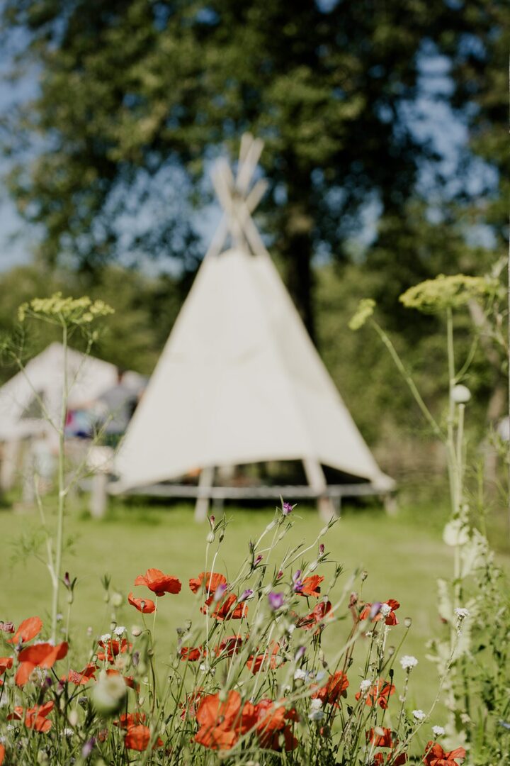 Camping de Blauwe Haan (Uffelte)