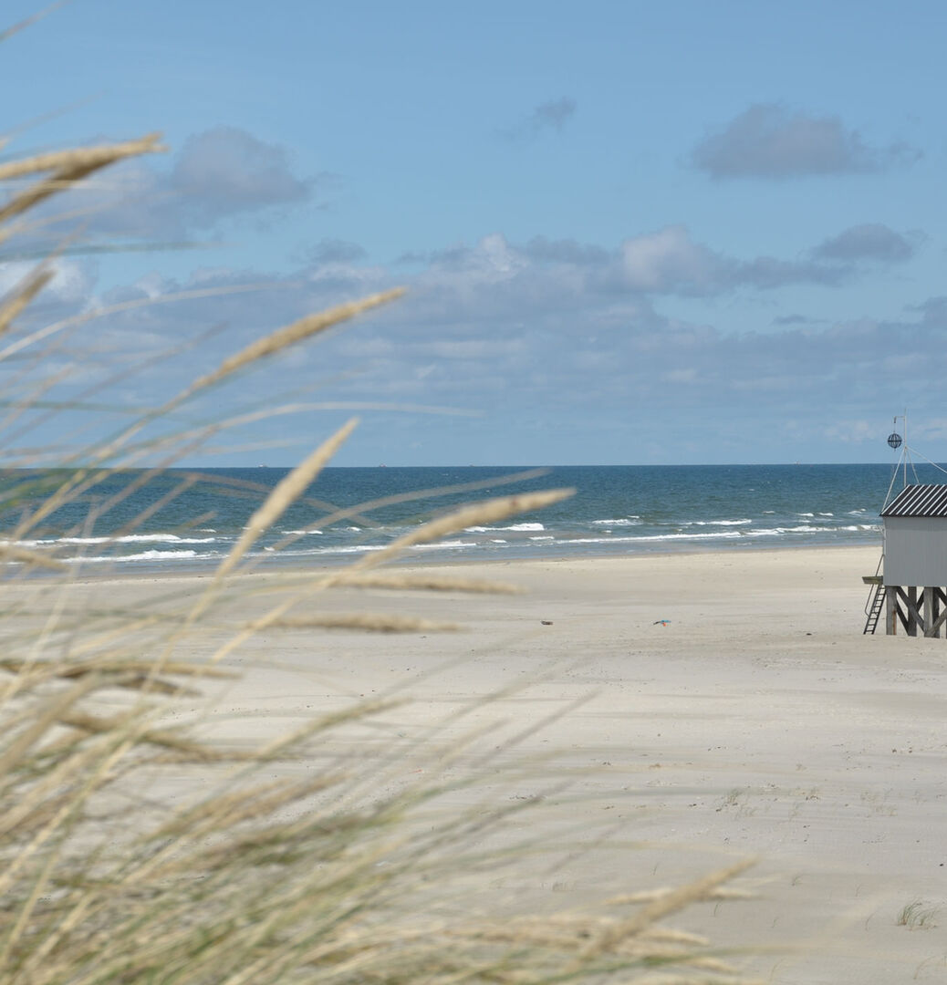 Camping Hoeve 't Noord (Terschelling)