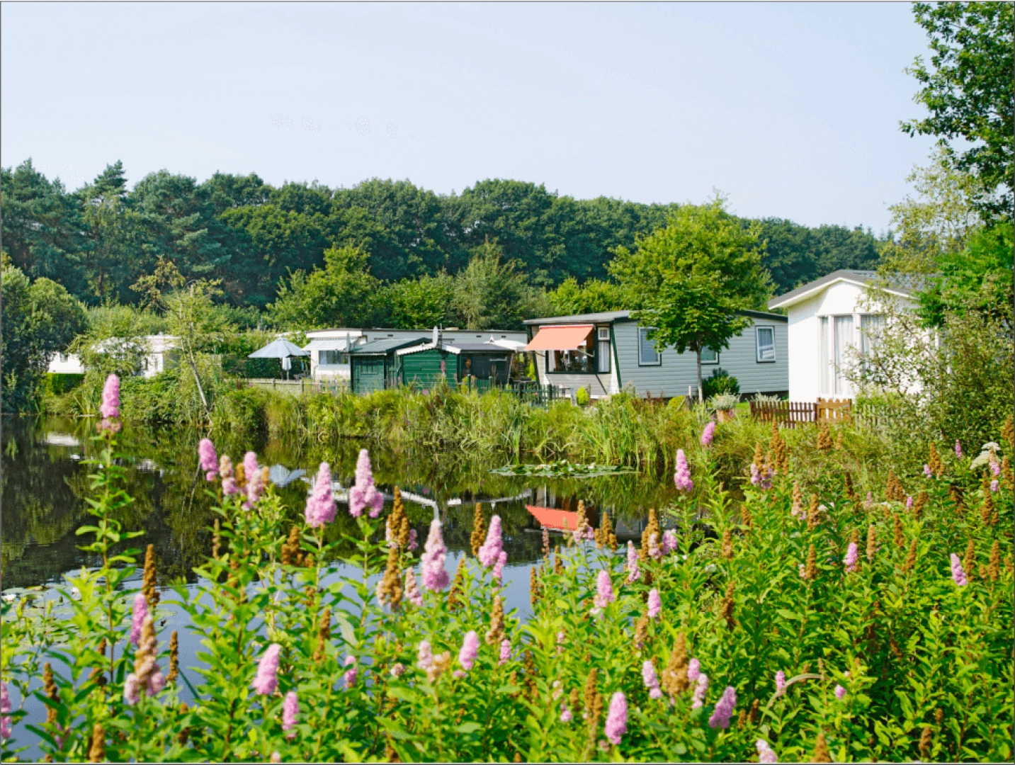 Camping Zonnekamp