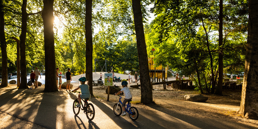 RCN The Big Forest (Doorn)