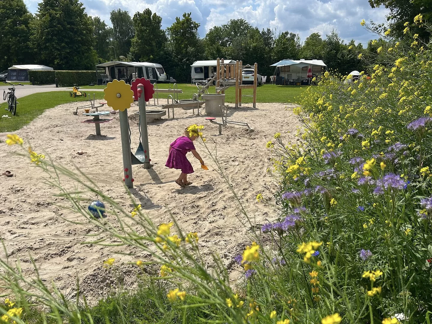 Camping 't Rheezerwold 
