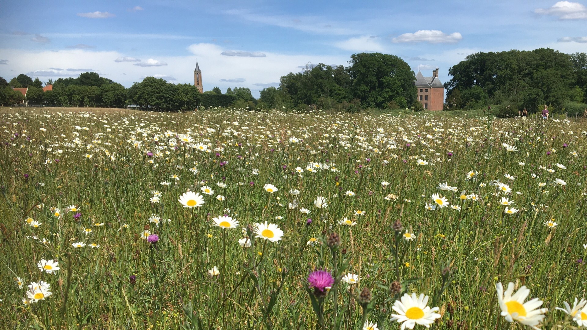 Chaletpark & Camping de Tabaksschuur (Elst)