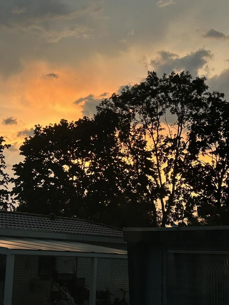 Stekelbos stacaravans en chalets