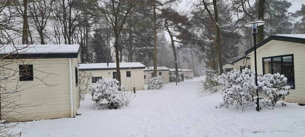 Bospark De Schaapskooi (Epe)