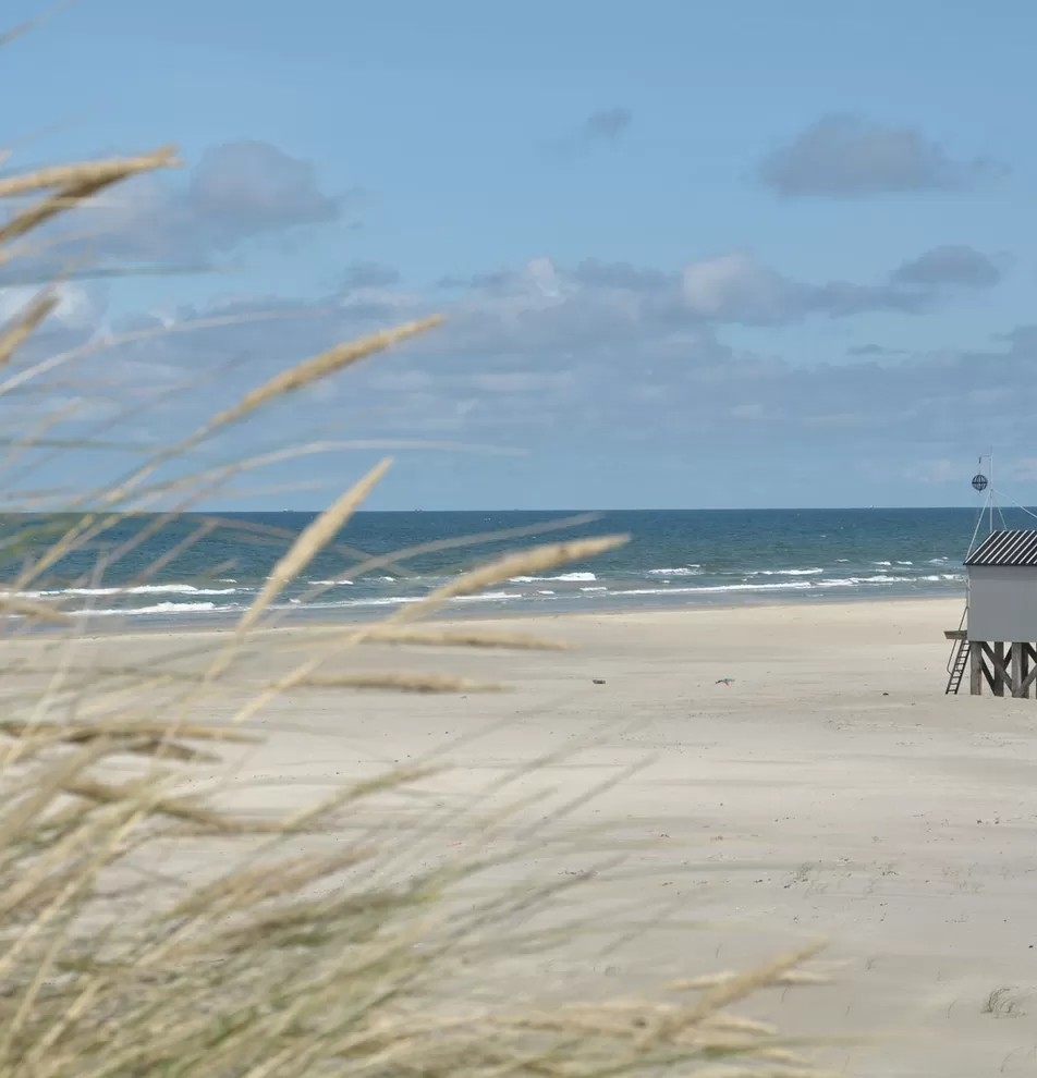 Camping Hoeve 't Noord (Terschelling)