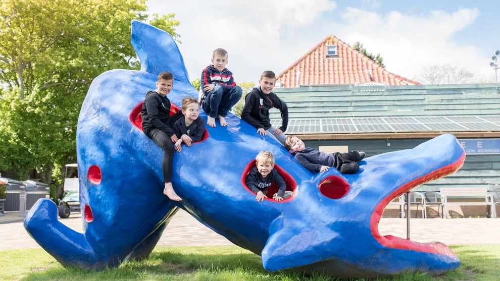 Camping Waddenzee (Wieringen)