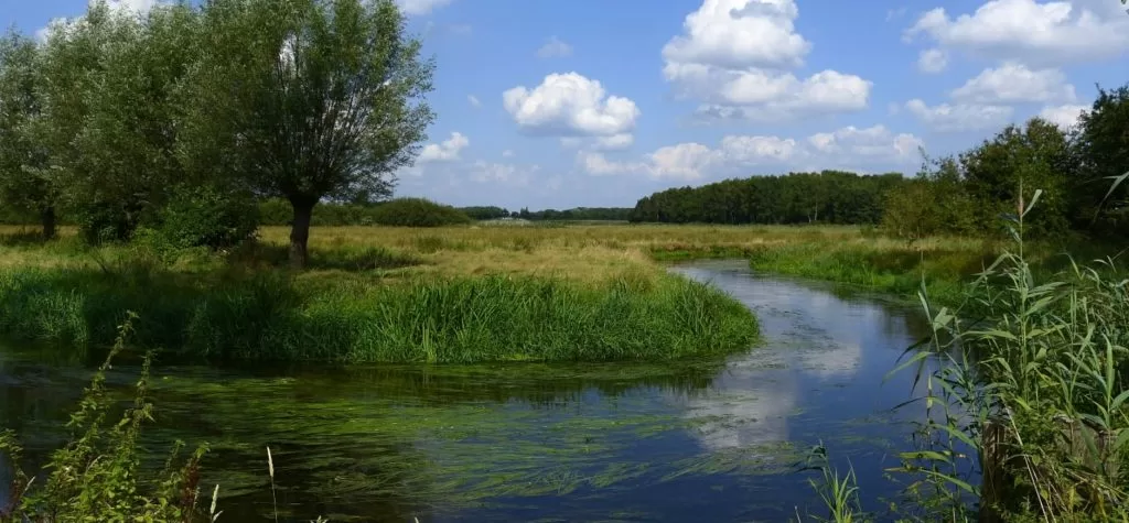Camping de Volmolen (Riethoven)