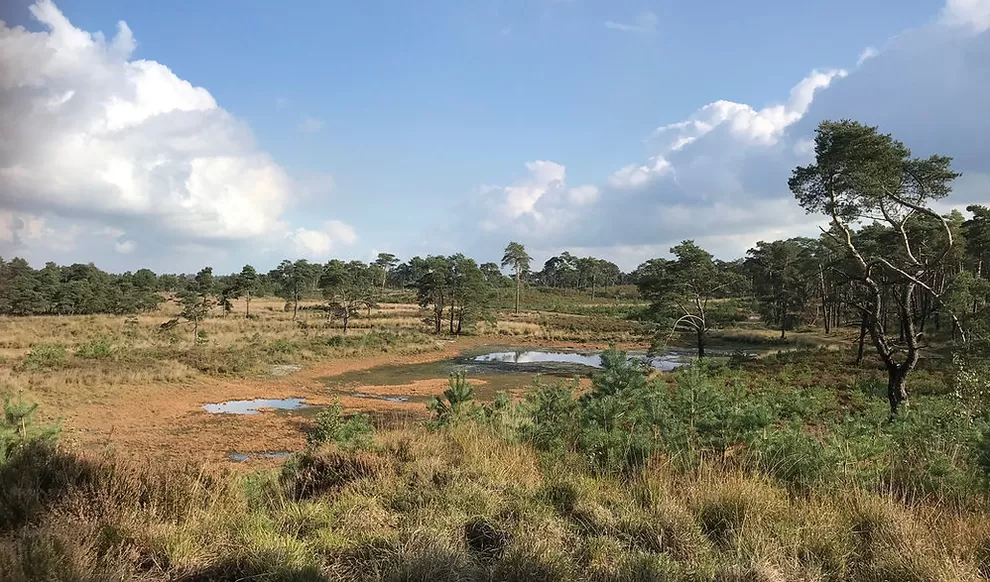 Recreatiecentrum Hazeduinen (Putte)