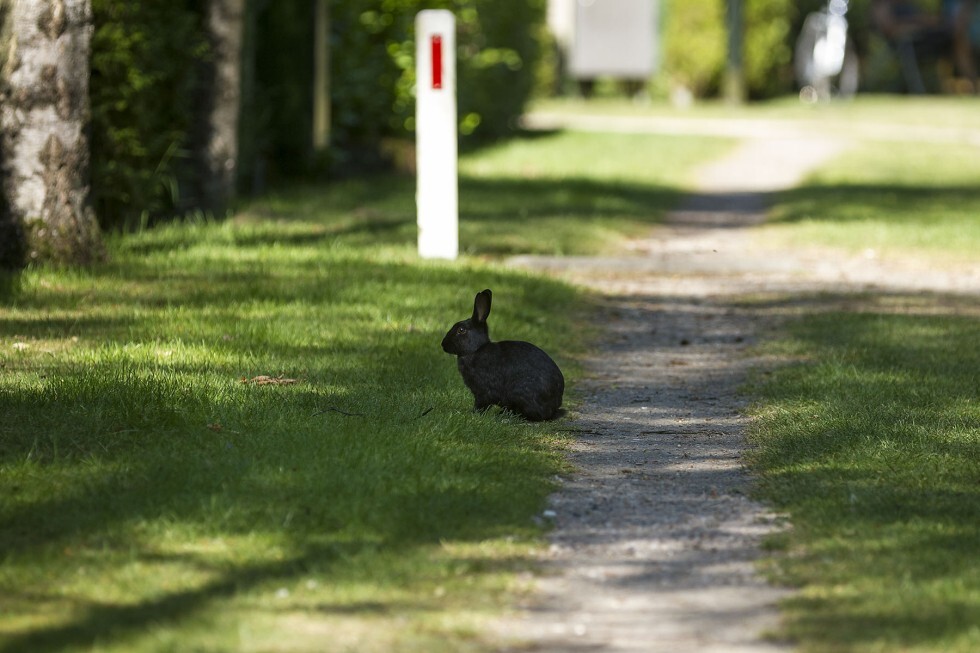 Camping 't Eind (Overberg)