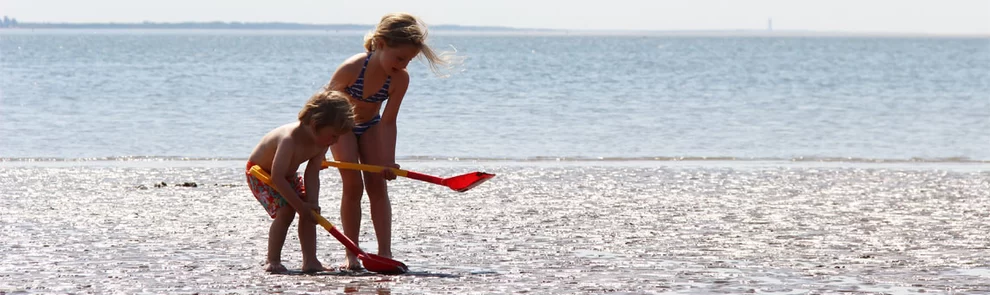 Molecaten Park Waterbos