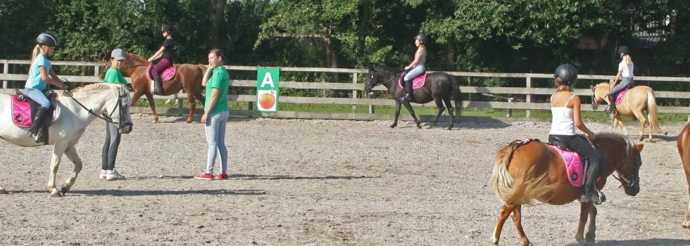 Camping de Vergarde (Erichem)