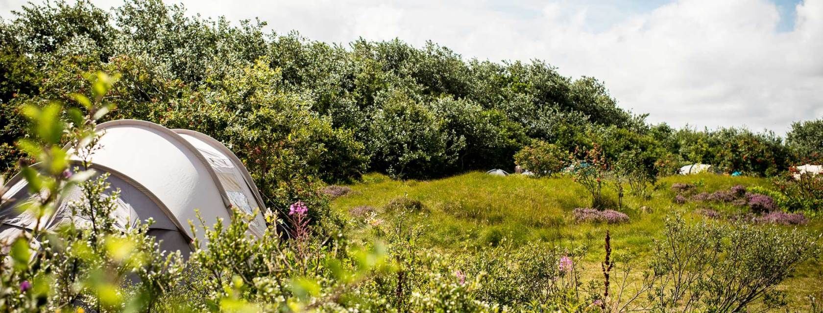 Camping Roosdunen (Ameland)