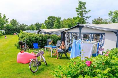 Camping Ginsterveld (Burgh-Haamstede)