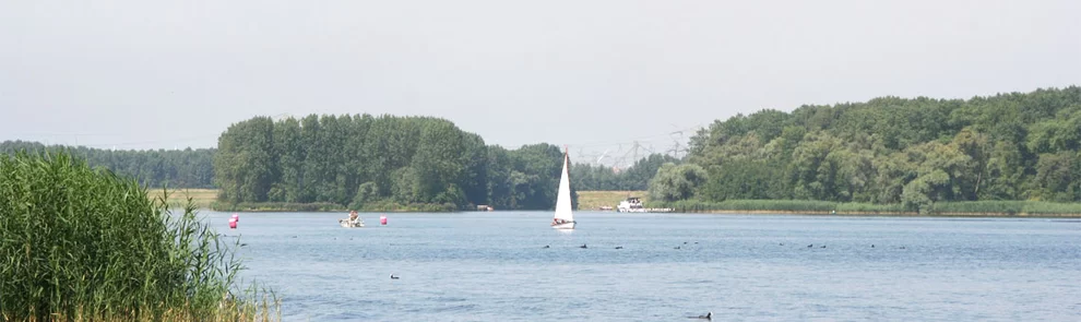 Molecaten Park Kruininger Gors (Oostvoorne)