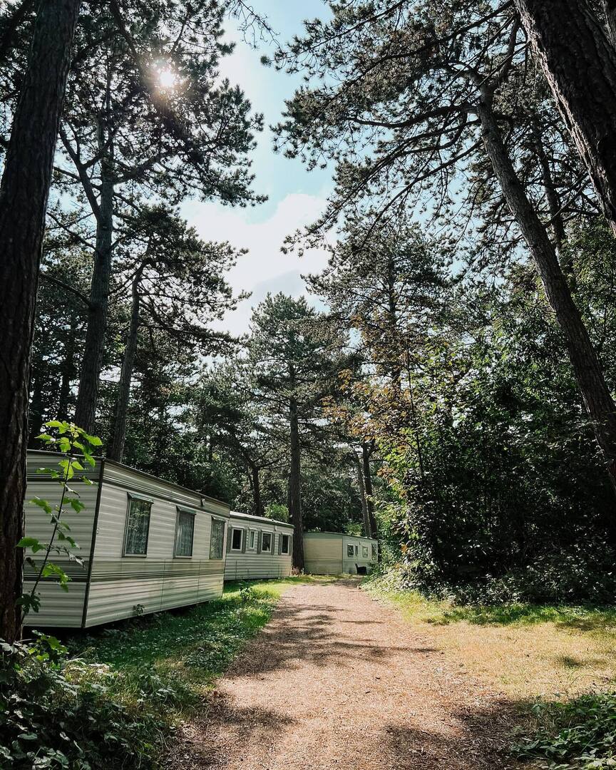 Camping Bakkum (Bakkum)