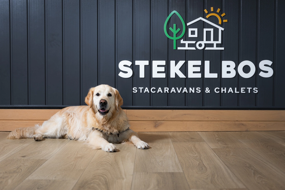 Snel een aanbod ontvangen? Neem contact met ons op!