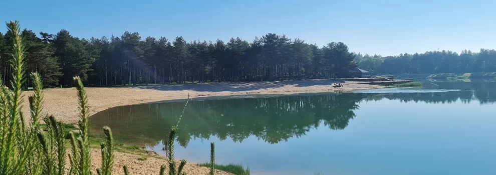 Bospark De Vossenberg (Nunspeet)