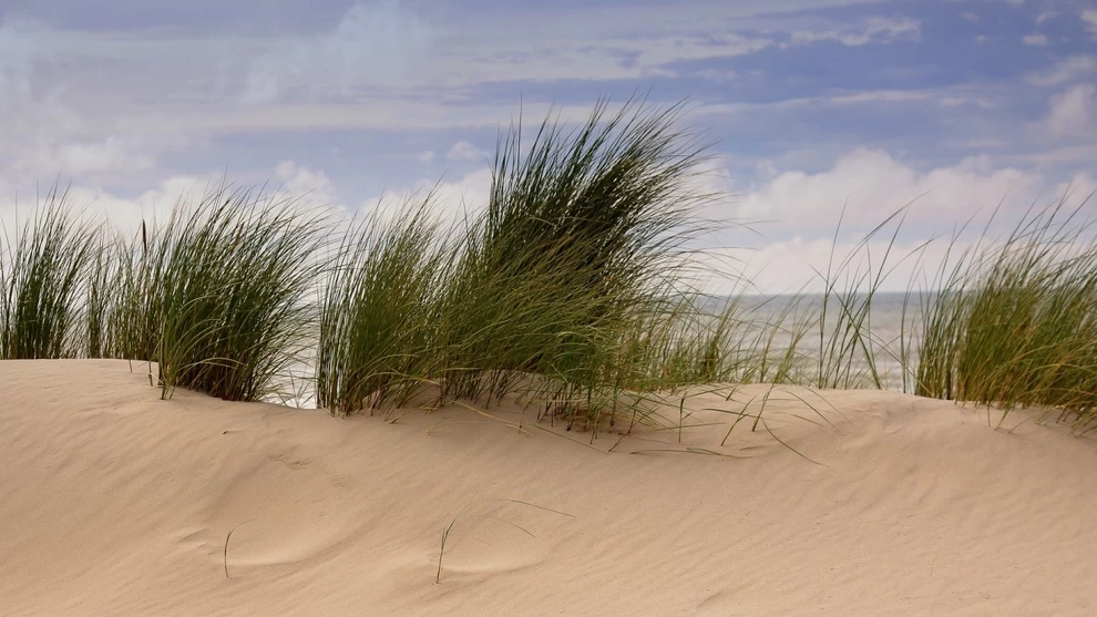 Camping de Zwaluw (Julianadorp)