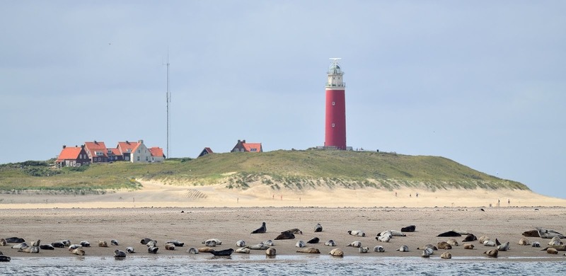 Stekelbos stacaravans en chalets